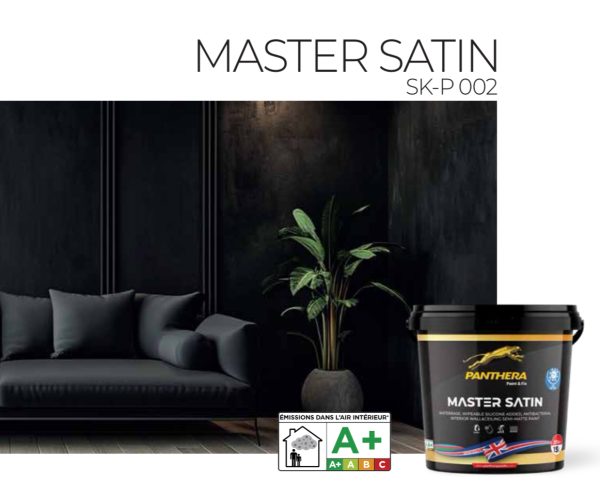 MASTER SATIN 2,5 L